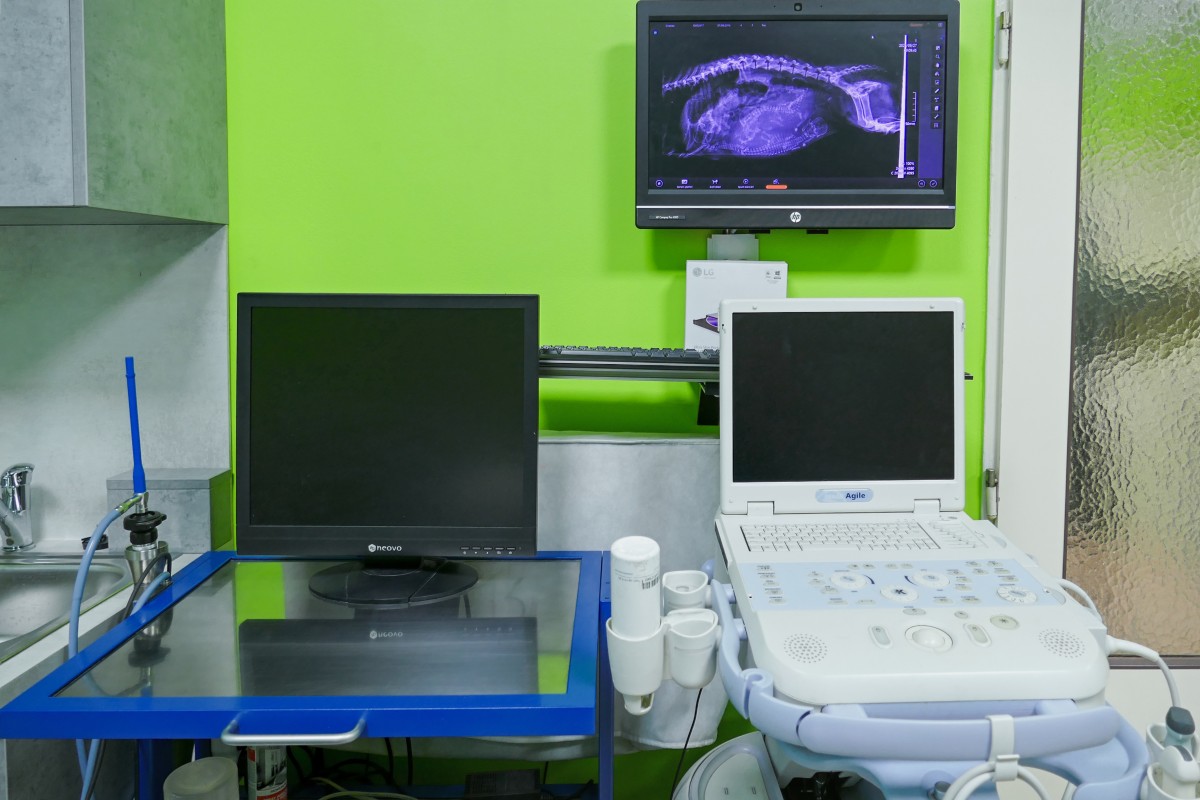RTG digitalizace & endoskop - bližší pohled